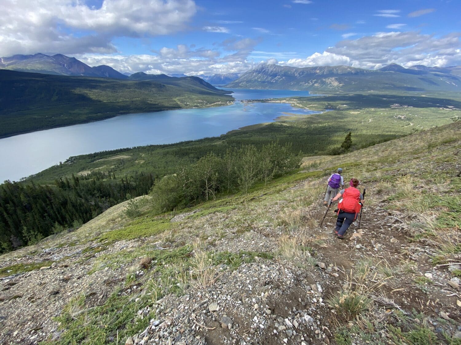 View over Nares Lake and Bennett Lake Yukon